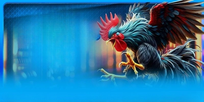 Cược gà mỹ tại nhà cái Luk88 có nhiều ưu điểm đáng trải nghiệm